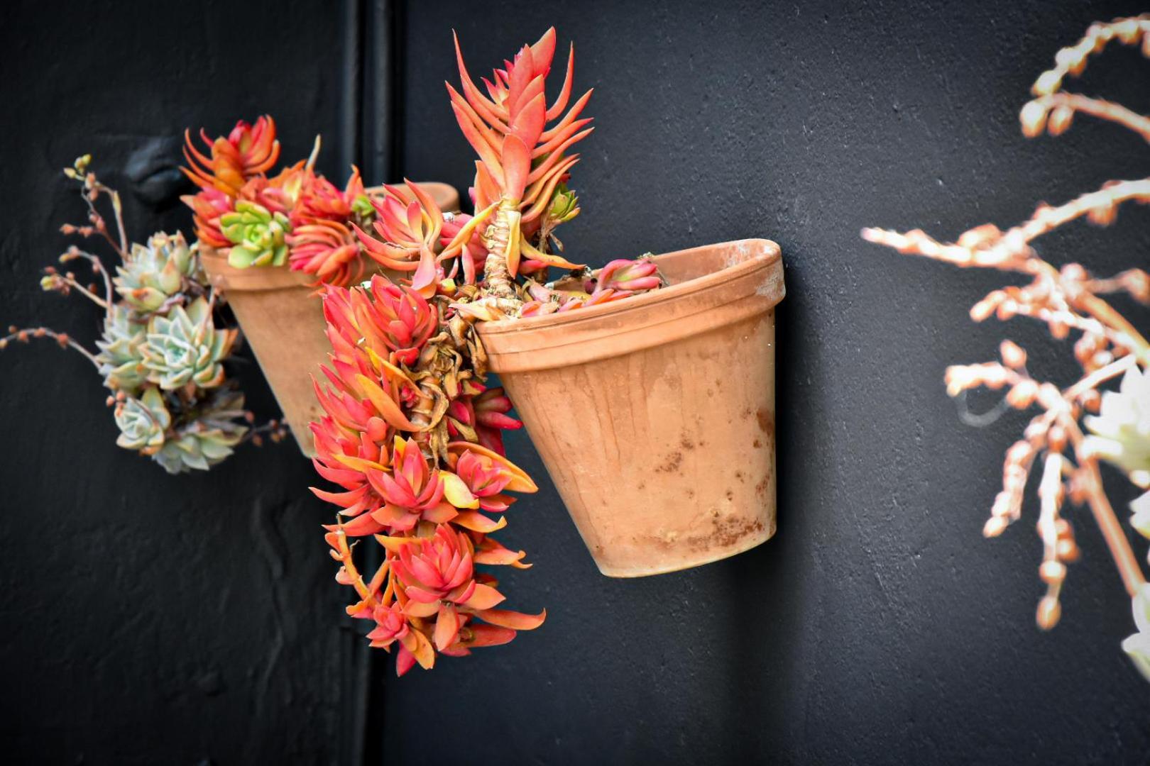 Beautiful Betty Guesthouse Beaufort West Exterior foto